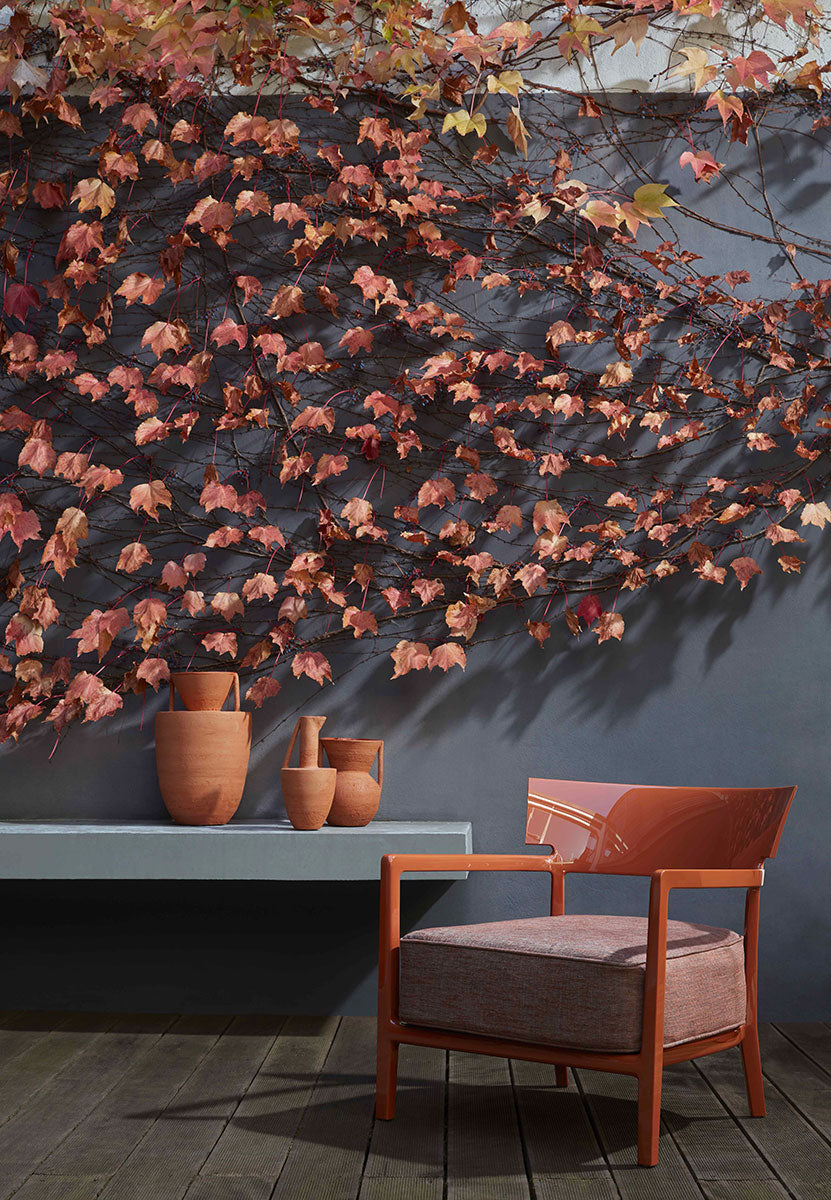 כורסא גימור מבריק Cara Fancy Philippe Starck Black / Black-Beige