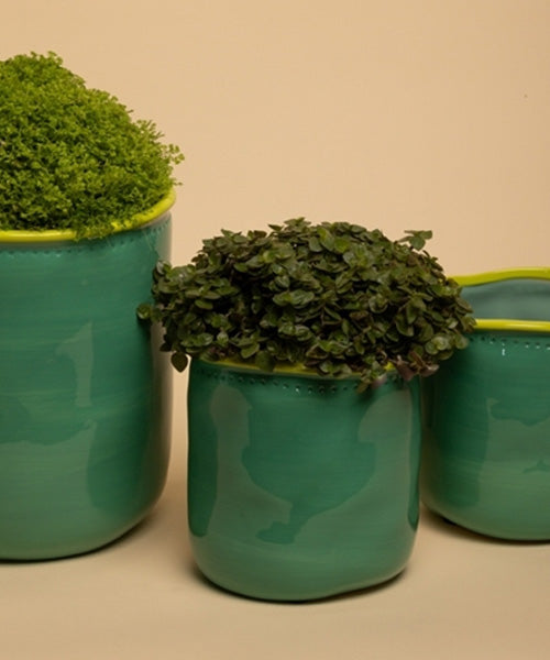 עציץ Flower Pot Mint and Chartreuse (Medium)
