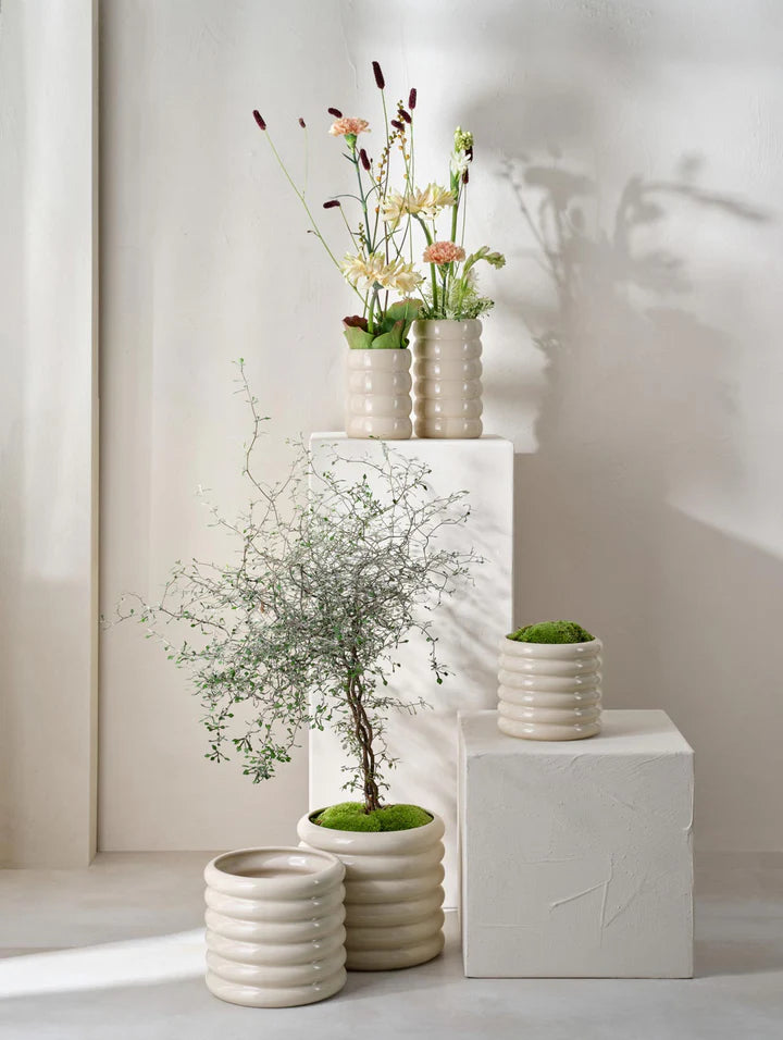 עציץ Loopy Planter Summer Sand (L)