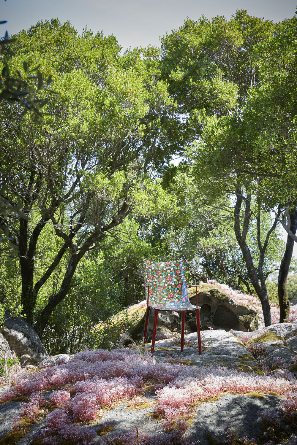 כיסא H.H.H. Graphic Impression Philippe Starck Bordeaux Lacquer