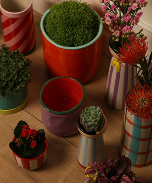 עציץ עם תחתית Flower Pot With Saucer Orange and Mint Medium
