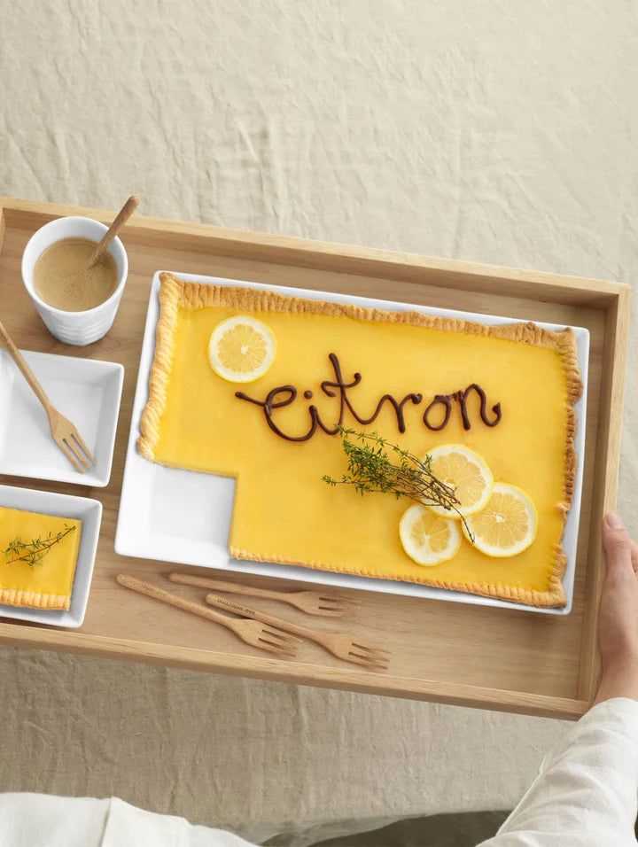 250°C plus פלטת הגשה מלבנית