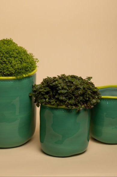 עציץ Flower Pot Orange and Mint (Large)