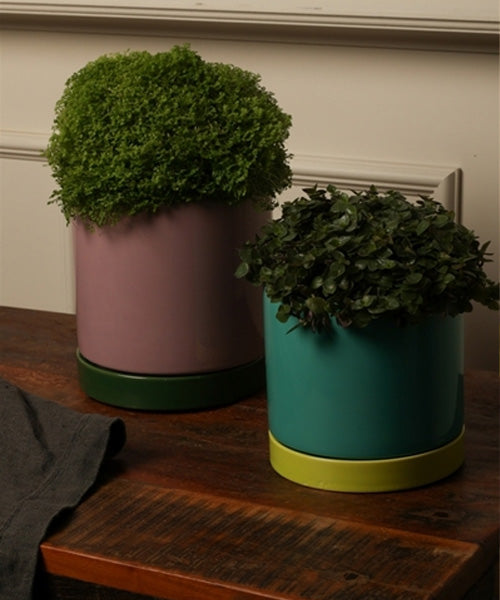 עציץ עם תחתית Flower Pot With Saucer Orange and Mint Medium