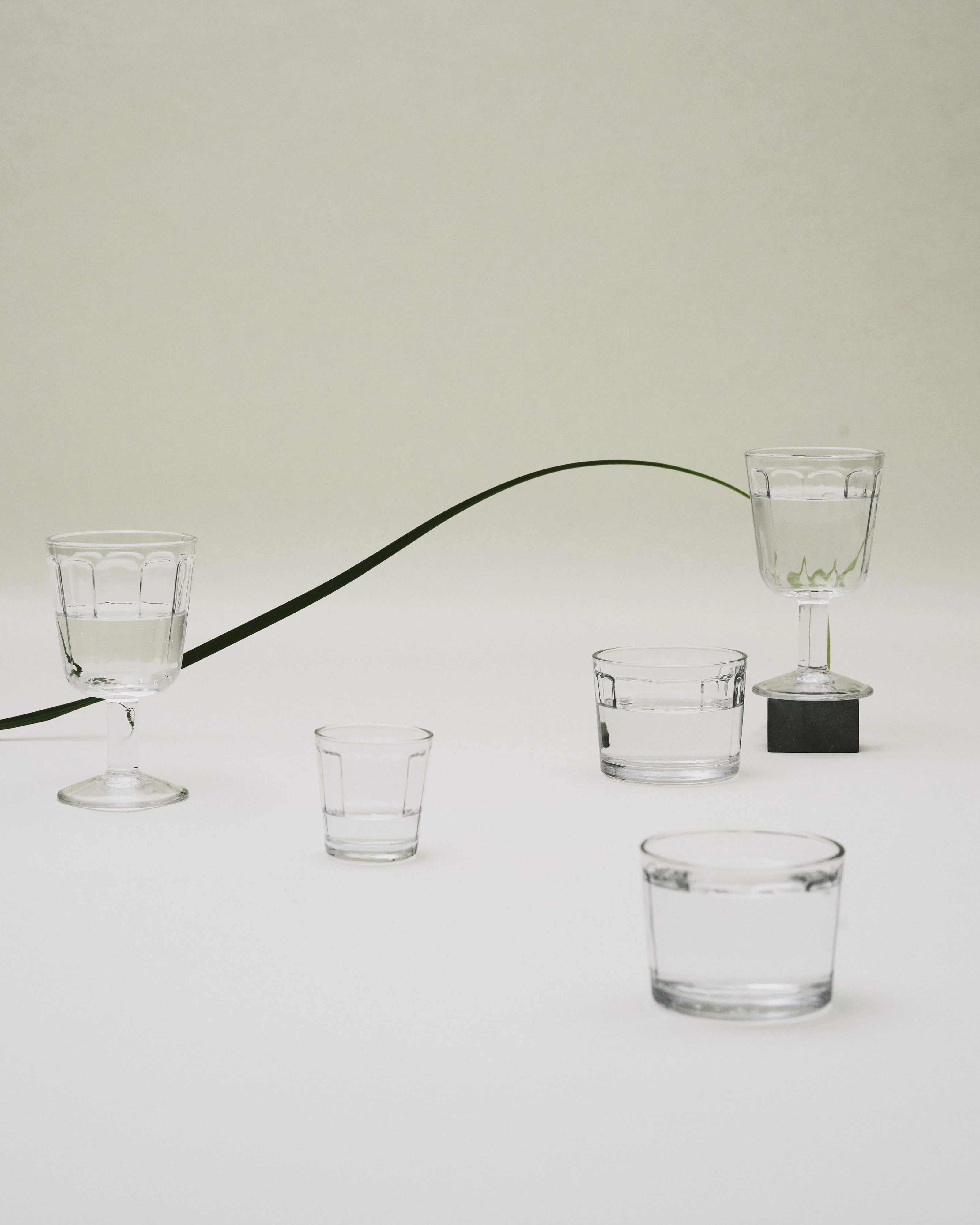 סט 4 כוסות ליין לבן White Wine Glass Transparent (Small)