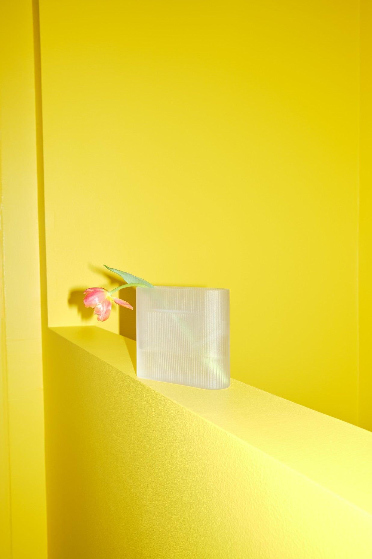 אגרטל Ridge Vase Frosted Glass White (small)