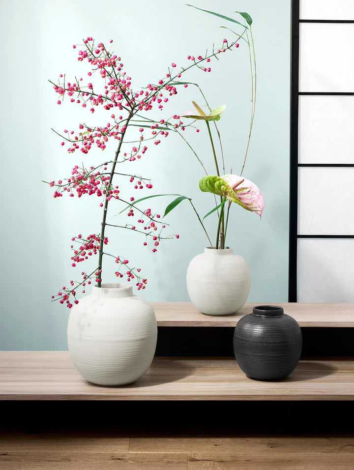 אגרטל Japandi Vase Soft Shell (Large)