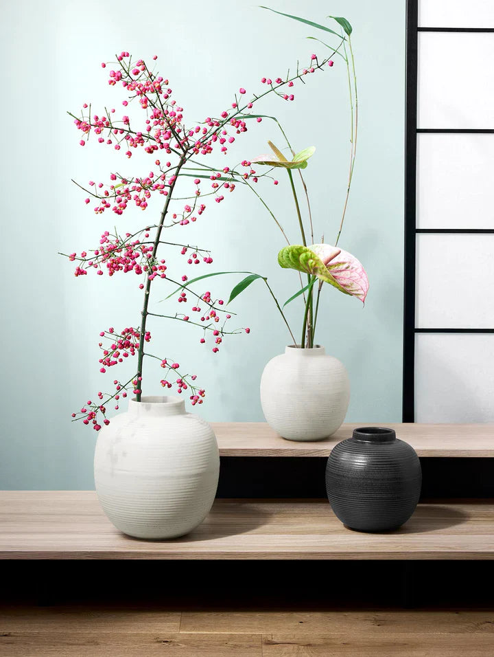 אגרטל Japandi Vase Soft Shell