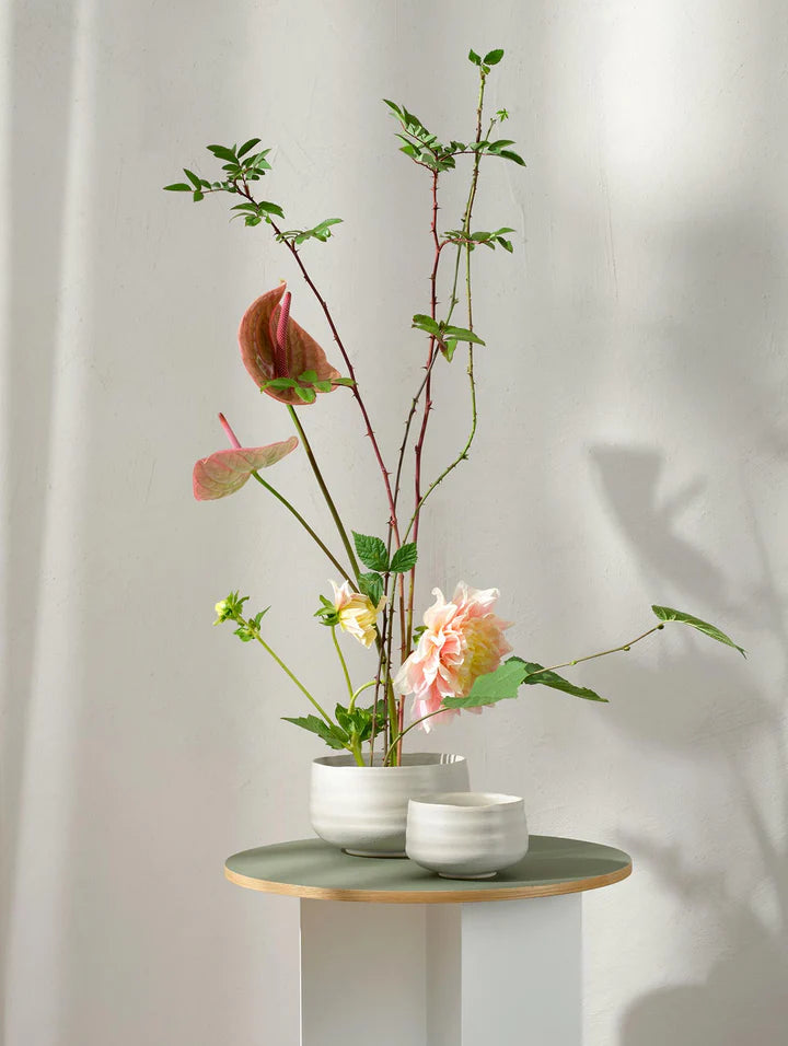 קערה Hasu White (Medium)