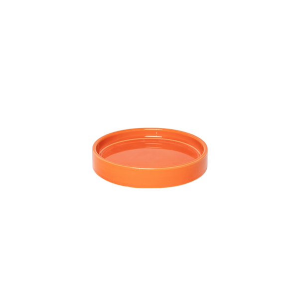 עציץ עם תחתית Flower Pot With Saucer Orange and Mint Medium