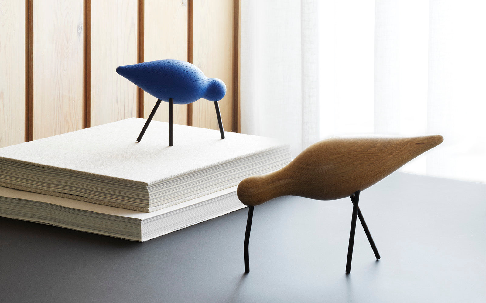 ציפור shorebird black base/black (Small)