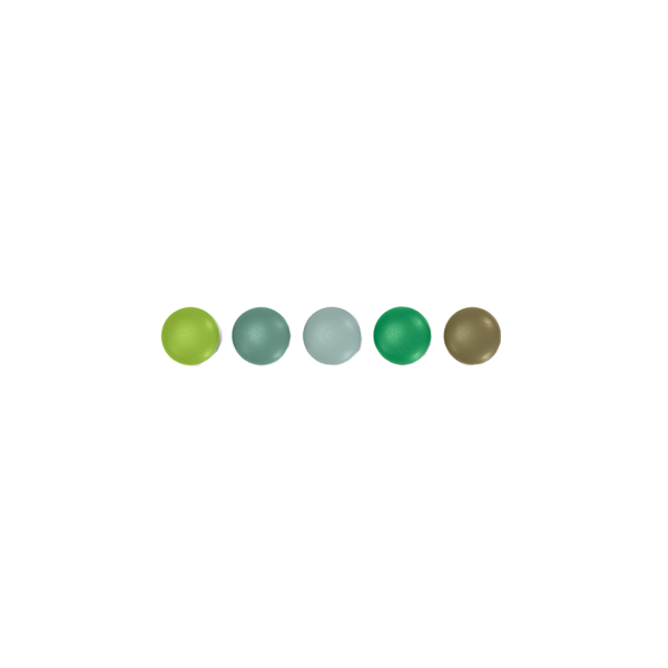 סט 5 מגנטים Magnet Dots Green